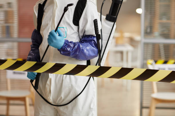 Professional Blood Cleanup technician working in Wellington, NV
