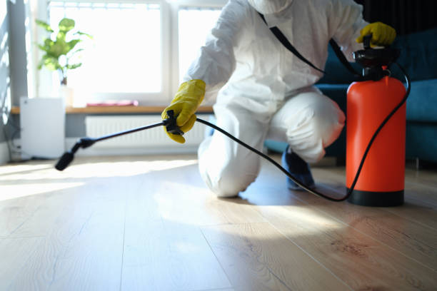 Reliable Blood Cleanup contractor in Wellington, NV by Trauma Clean Pros